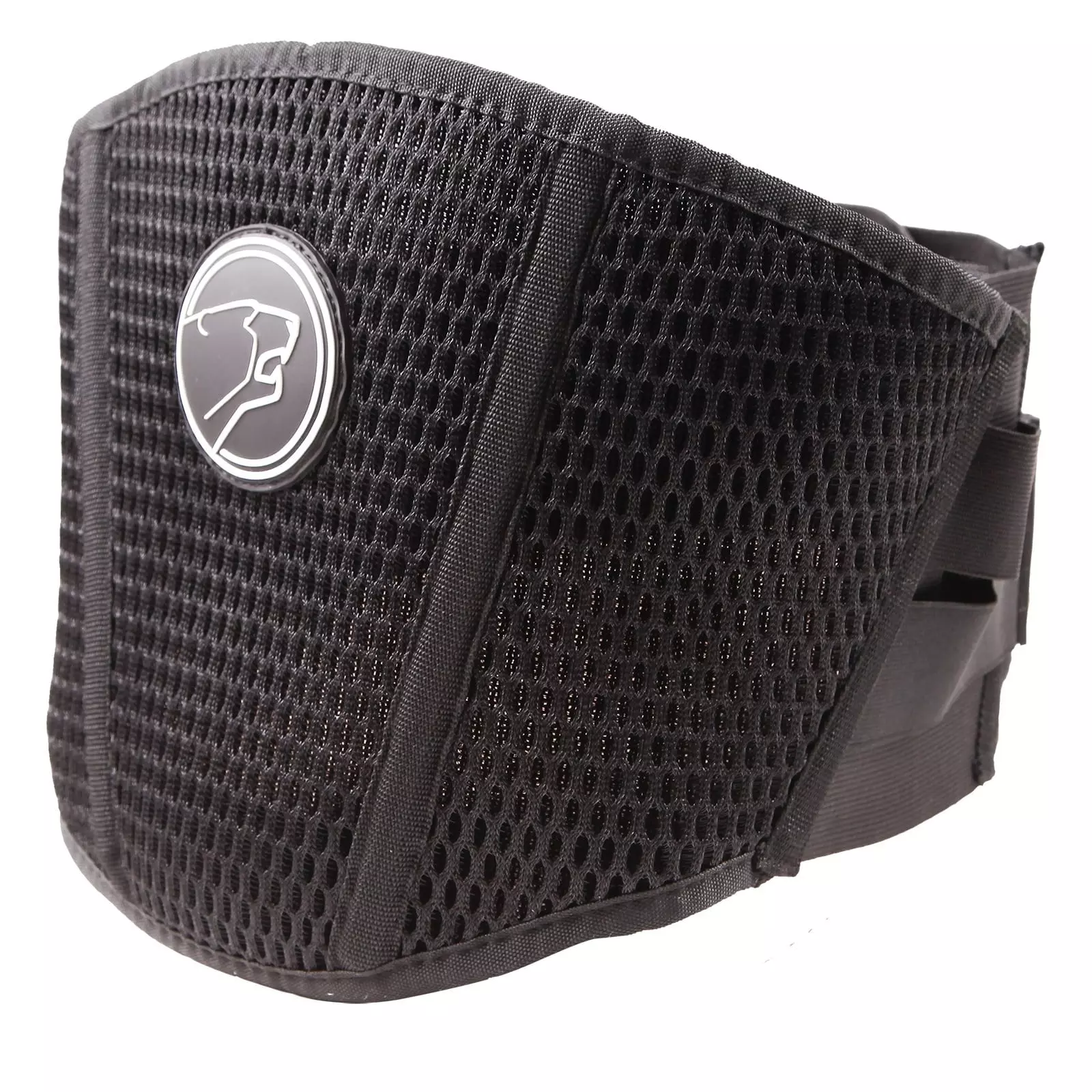 ceinture maintien reins