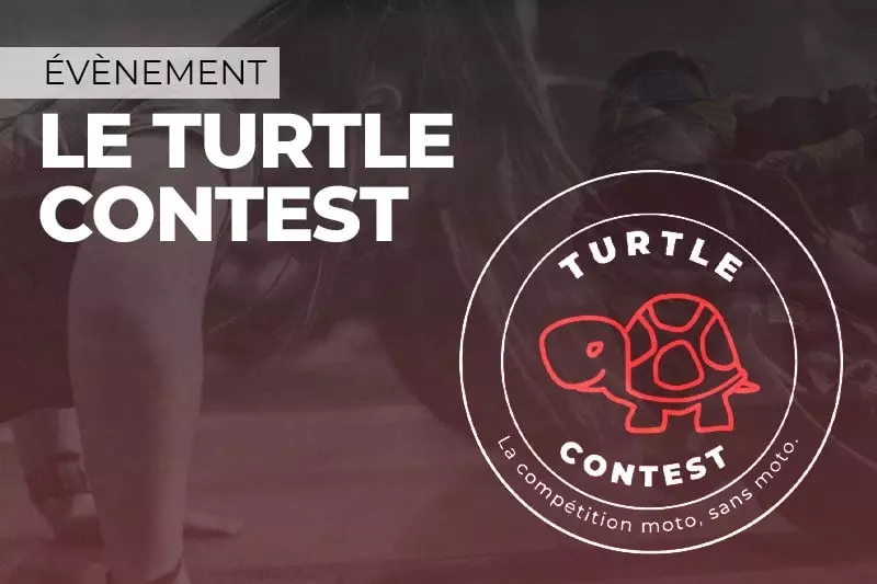 Turtle Contest 2022